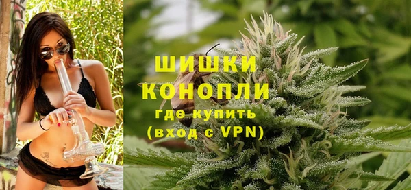 крисы Верхний Тагил