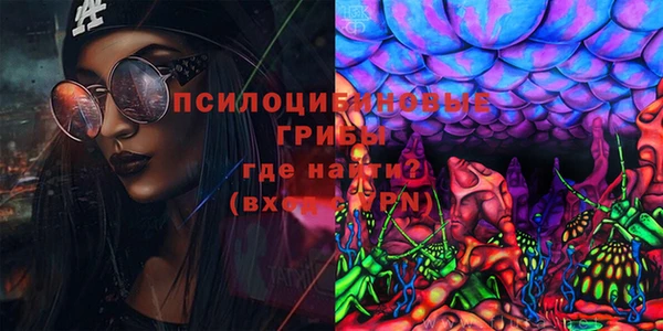 дурь Балахна
